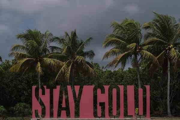 Stay Gold6